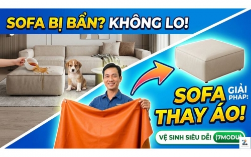 Ghế Sofa Tháo Rời Vỏ: Trào Lưu Sofa Thay Áo Tiết Kiệm Nhất